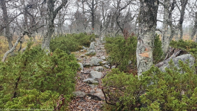 holpriger wanderweg richtung silverfallet