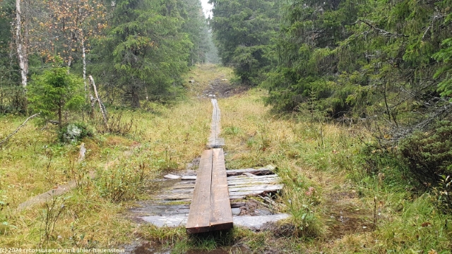 wandersteg durch fichtenwald richtung oever storsaetern