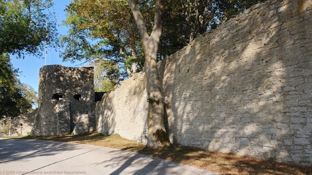 stadtmauer um die altstadt von visby