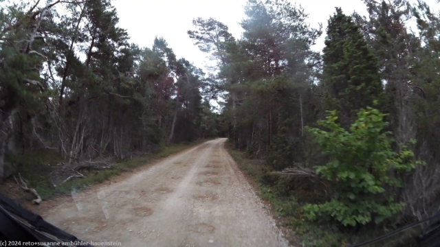 unzaehlige schlagloecher in der unbefestigten strasse durch das hall-hangvars naturreservat