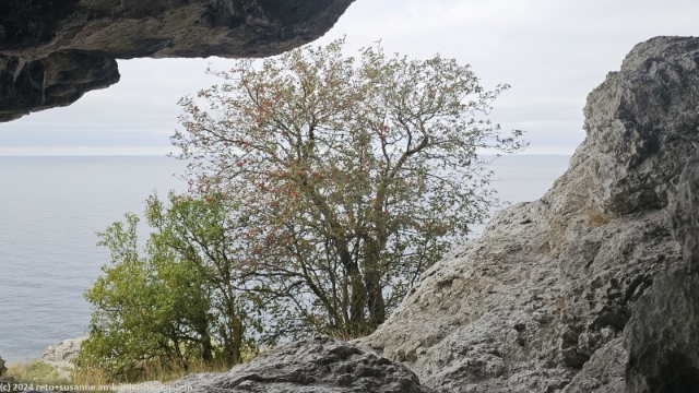 blick von der steilkueste hoegklint auf die baltische see zwischen gotland und dem schwedischen festland