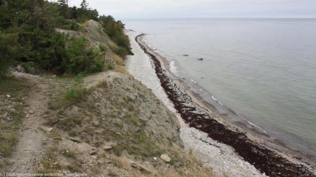 pfad hinunter zum kiesstrand am fuss der steilkueste hoegklint