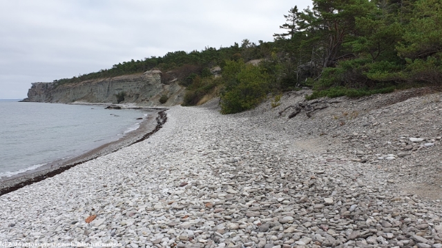 kiesstrand am fuss der steilkueste hoegklint