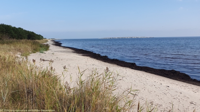 strand bei holmhaellar an der suedkueste von gotland