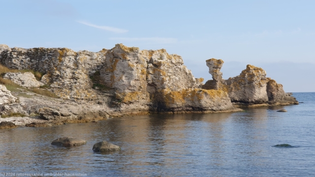 raukar bei hammarshagehaellar an der suedkueste von gotland