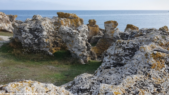 raukar bei hammarshagehaellar an der suedkueste von gotland