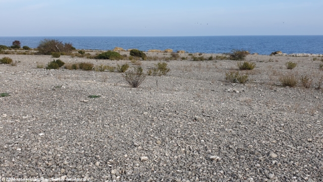 suedkueste von gotland bei hammarshagehaellar
