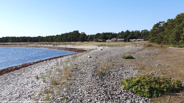 bauernhof an der kueste bei ljugarn im osten von gotland