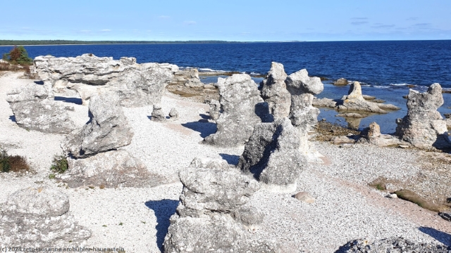 raukar an der kueste bei ljugarn im osten von gotland
