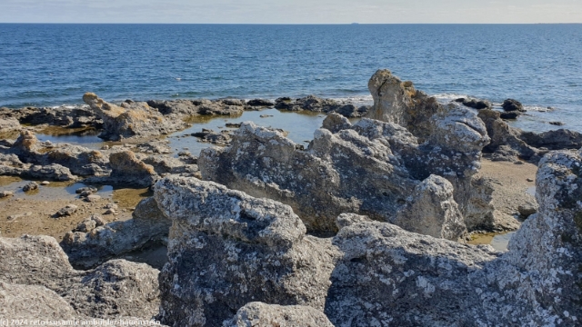 ostk?ste von gotland bei ljugarn