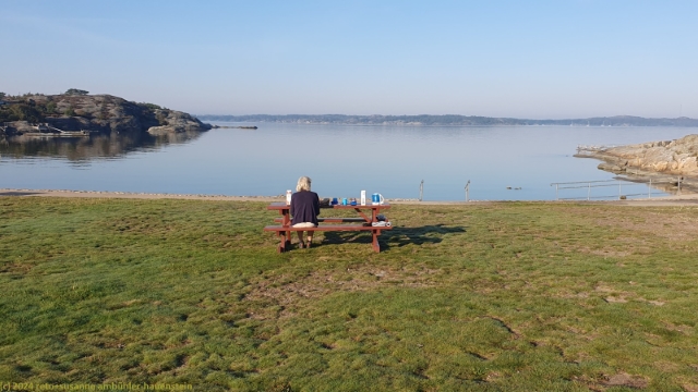 park mit picknicktisch am strand bei lilleby