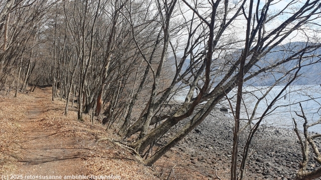 chunzen natural trail entlang des lake chunzenji
