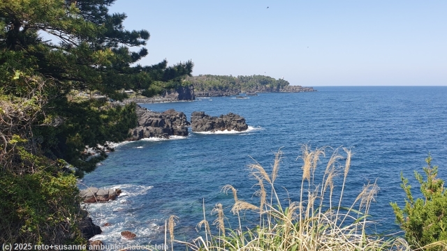 blick vom jogasaki coastal trail auf die pazifikkueste