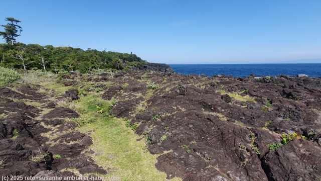 jogasaki coastal trail durch wilde kuestenlandschaft