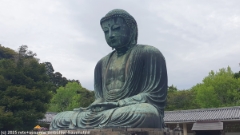 daibutsu - auch als great buddha of kamakura bekannt