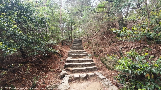treppe im verlauf des misen climbing path - daishoin course auf der insel miyajima