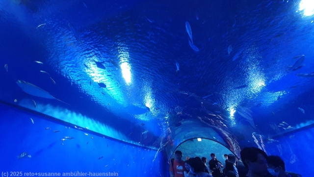 eingang durch tunnel zum kaiyukan aquarium in osaka