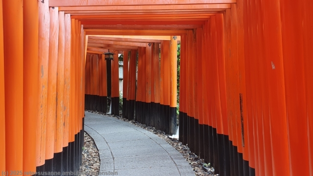 senbon torii beim fushimi inari schrein in kyoto
