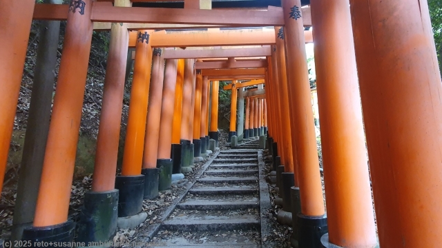 senbon torii beim fushimi inari schrein in kyoto