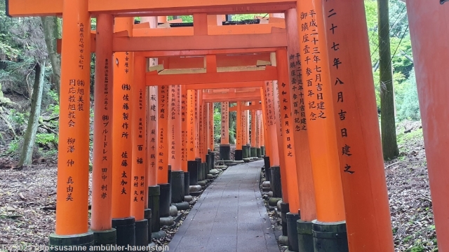 senbon torii beim fushimi inari schrein in kyoto