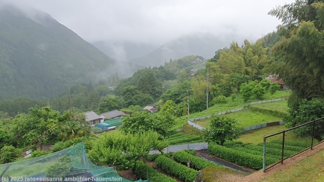 blick vom kumano kodo ins tal des sanyuechuan