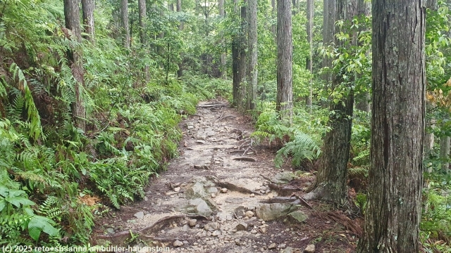 holpriger wanderweg im verlauf des kumano kodo