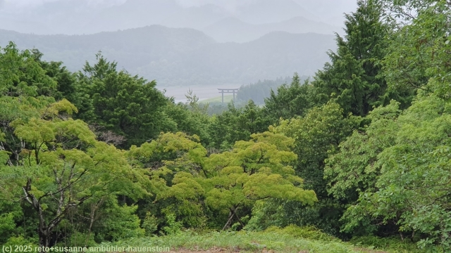 blick vom kumano kodo auf das oyunohara torii