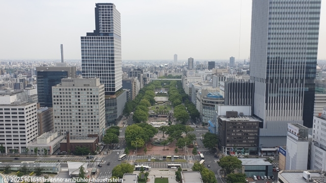 aussicht vom nagoya TV turm mit hisaya odori park in der bildmitte