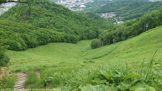 skipiste usagidaira am mount moiwa bei sapporo