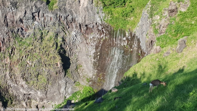 beim furepe wasserfall im shiretoko nationalpark tritt das wasser aus einem spalt in der felswand