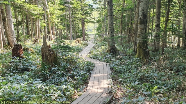 wandersteg im verlauf des goko lakes trail im shiretoko nationalpark