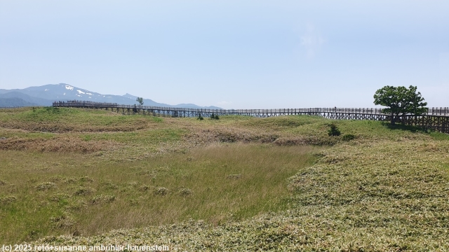 baerensicherer hochsteg (elevated trail) im verlauf des goko lakes trail im shiretoko nationalpark