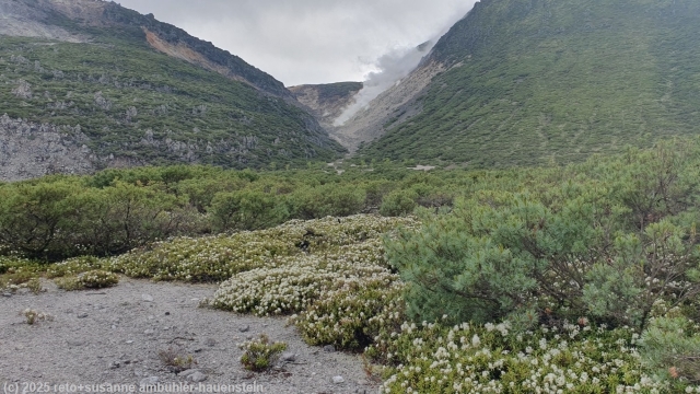 blick vom tsutsujigahara nature trail ins tal mit heissen quellen im akan-mashu nationalpark