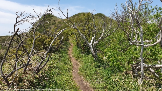 wanderweg skyline promenade im akan-mashu nationalpark