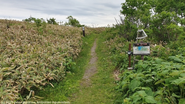 beginn des mount mashu trail beim observatory deck no. 1 im akan-mashu nationalpark
