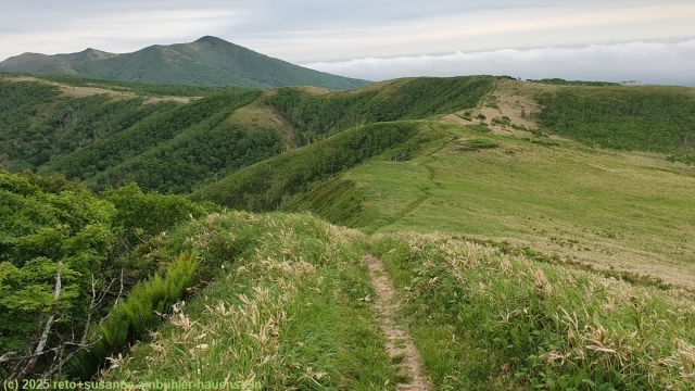 mount mashu trail ueber offene wiesen im akan-mashu nationalpark