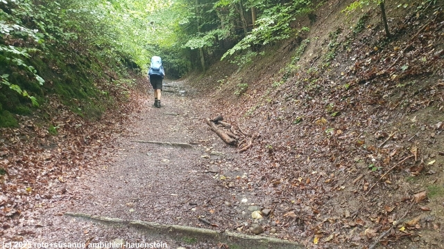 steiler aufstieg am stadtrand von brugg