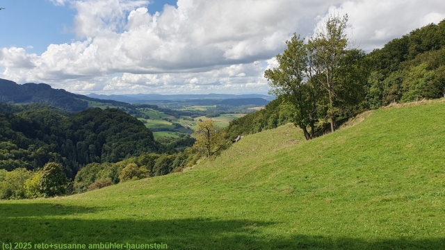 ausblick von der meierweid richtung osten