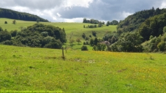 pfad ueber offene wiesen bei burgweid im verlauf des jura-hoehenweges