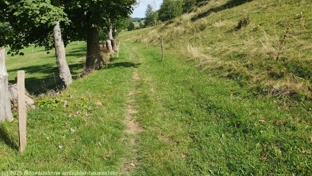 schoener wanderweg bei schmidematt