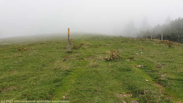 wanderweg entlang der stallflue bei dichtem nebel