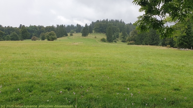 jura-hoehenweg zwischen stierenberg und sur le chable