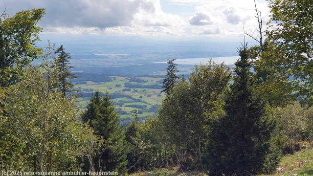 blick auf den neuenburgersee (vorne) und den murtensee (hinten) waehrend dem aufstieg zum chasseral