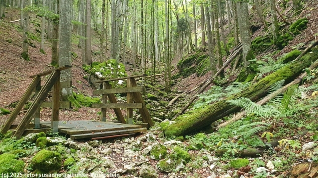 wanderweg durch wildes tobel bei combe boisse