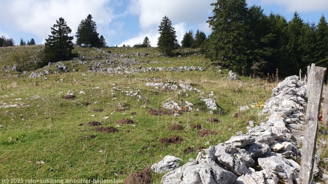 aufstieg zum gipfel des mont racine