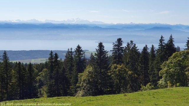 blick von der cret de la neuve auf den genfersee mit dem mont blanc im hintergrund