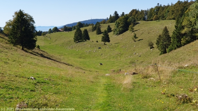 wanderweg ueber wiesen bei le planet