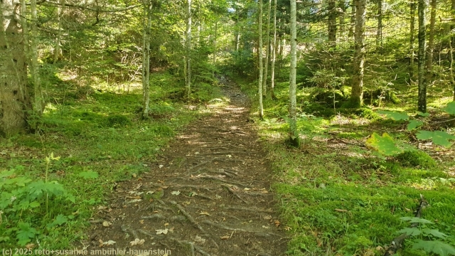 abstieg richtung les frasses