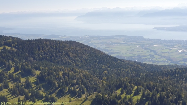blick vom la dole auf den oestlichen genfersee